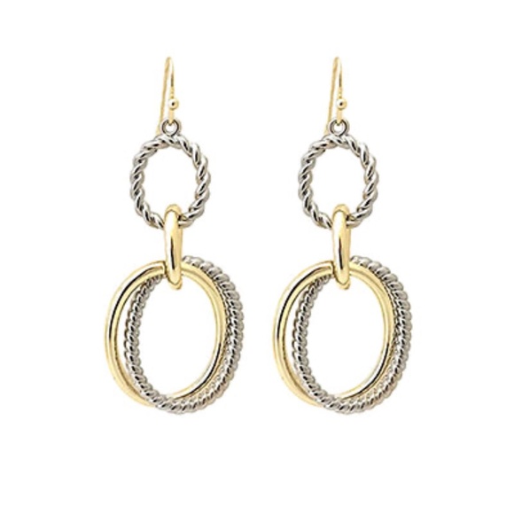Two-tone Oval Cable Link Earrings - Picture 1 of 1